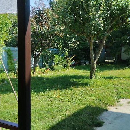 Эльза Hotel Gudauta Kültér fotó