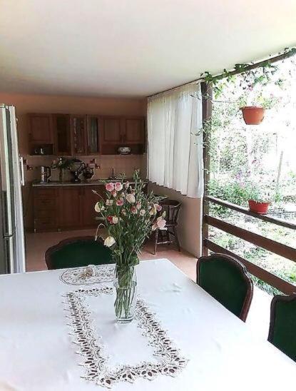 Эльза Hotel Gudauta Kültér fotó
