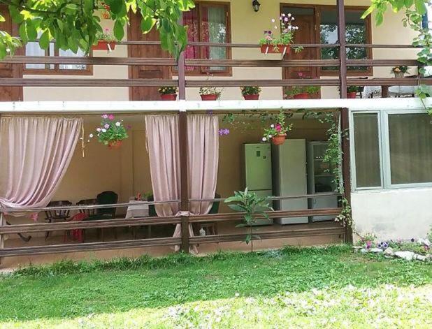 Эльза Hotel Gudauta Kültér fotó